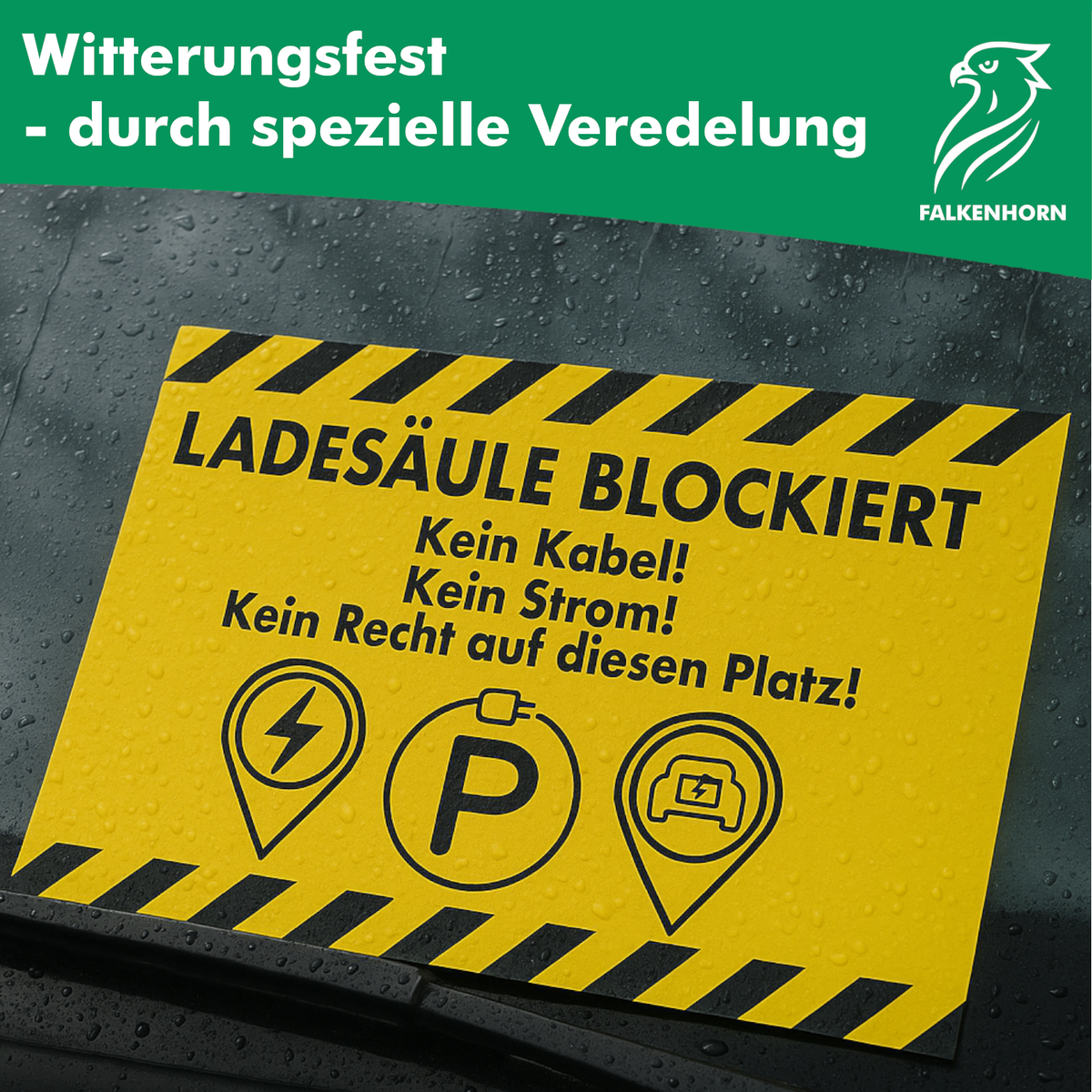 Hinweiskarten „Ladesäule blockiert“ für E-Autos
